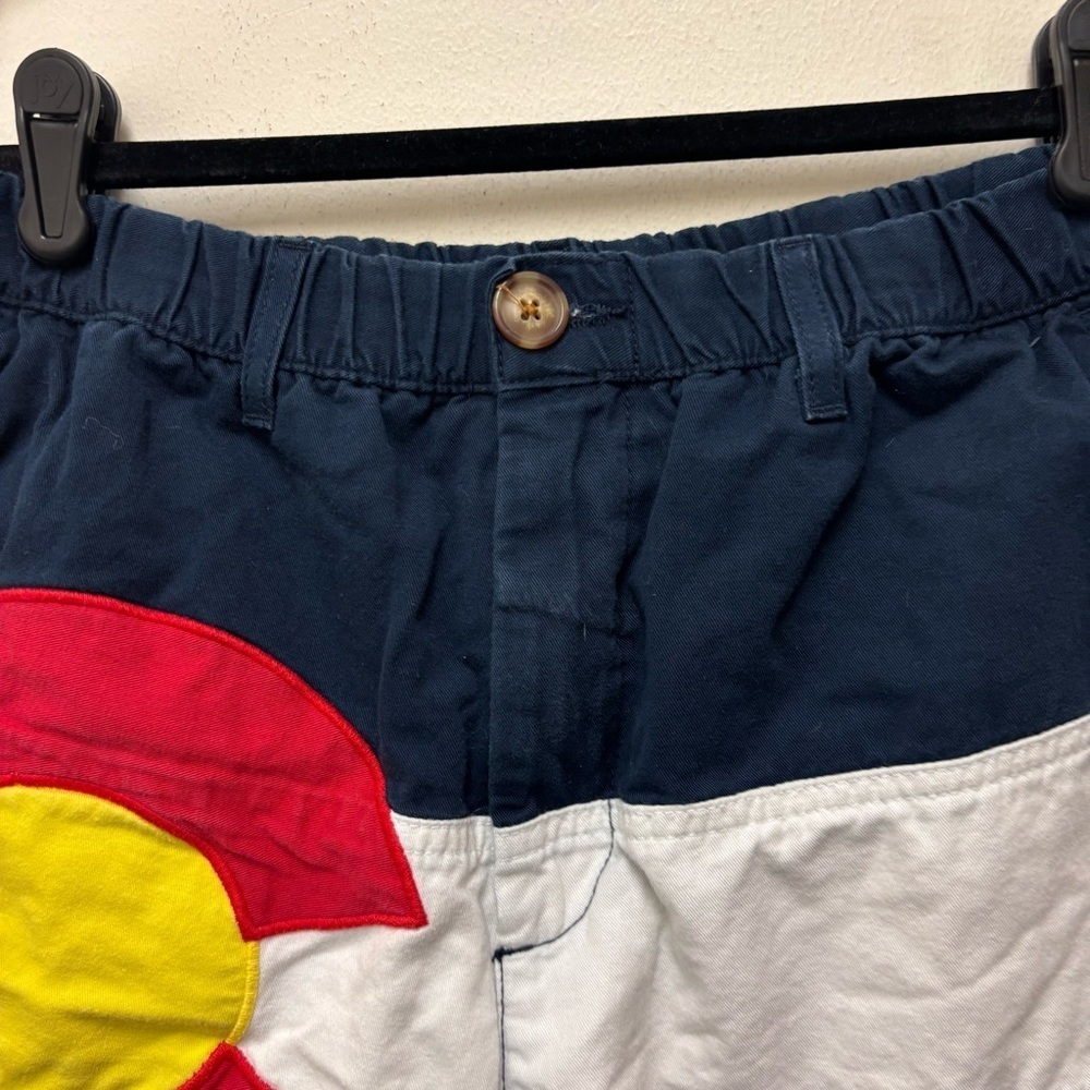 Chubbies Colorado Shorts - Picture 7 of 11